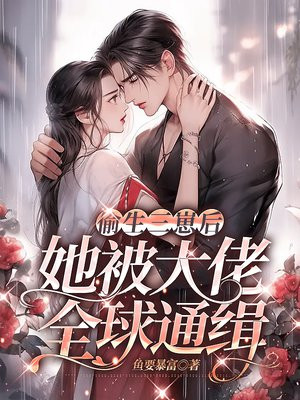 偷生三崽后,她被大佬全球通缉小说