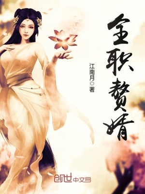 全职赘婿李小婉结局