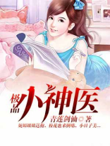 极品小神医张小凡全文免费