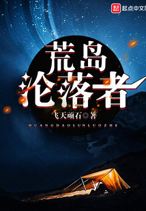 荒岛沦落者 飞天顽石