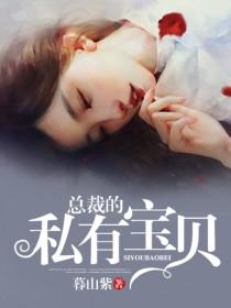 总裁的私有宝贝爱下