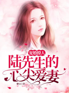陆爷心尖宠长大了小说