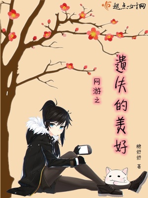 网游之遗忘国度 小说