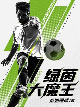 绿茵大魔王,从遇见肥罗开始笔趣阁