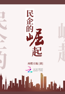 民企现状