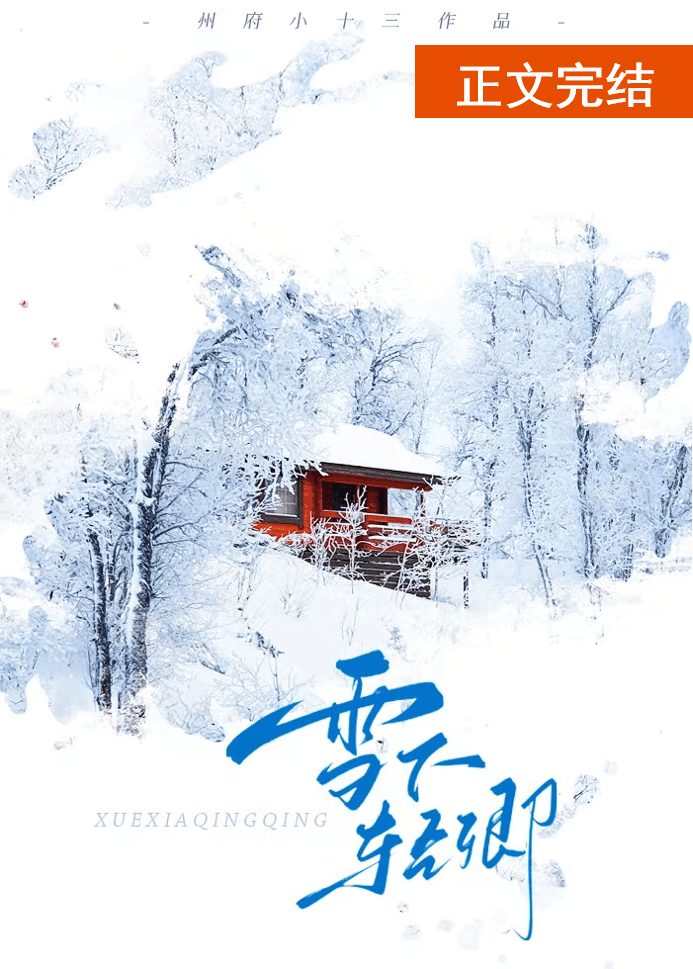 轻轻雪下小说