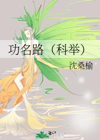 功名路(科举)作者:沈桑榆