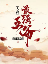 最强王爷云寅下载