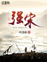 强宋吧