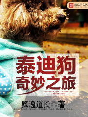 泰迪狗奇妙之旅飘逸道长