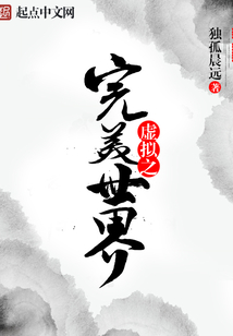 虚拟完美全本小说网