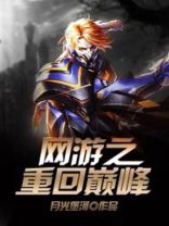 网游之重回巅峰 小说