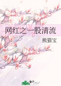 网红之一股清流 熊猫宝