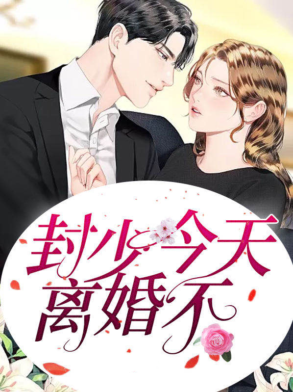 陆少今天离婚不
