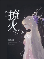 撩火撩心小说