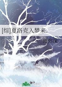 夏洛克的小说