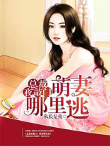 萌妻哪里逃小说完整版