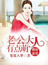 老公大人有点萌 梵花入梦