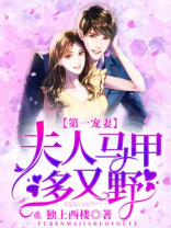 第一宠妻:夫人马甲多又野结局