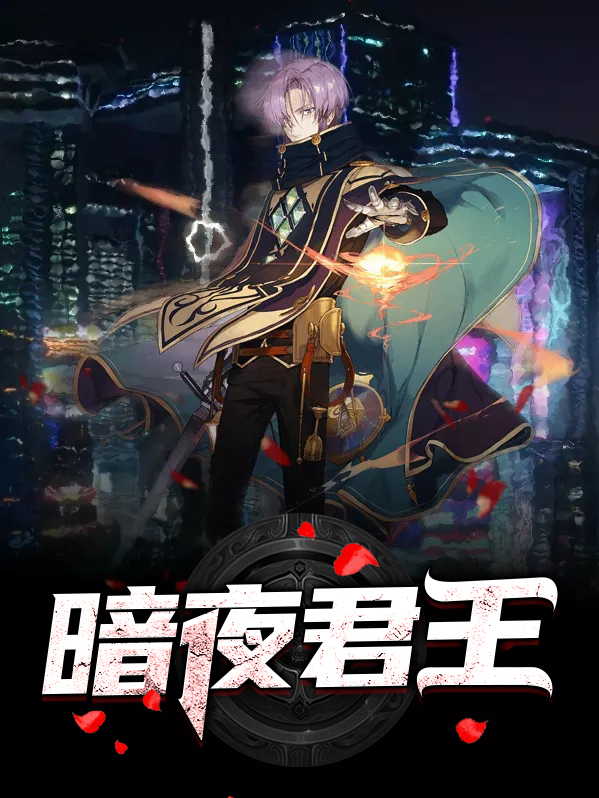 暗夜君王小说