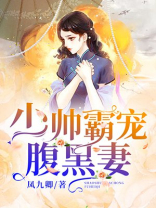 少帅霸宠腹黑妻