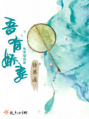 吾家有妻养成