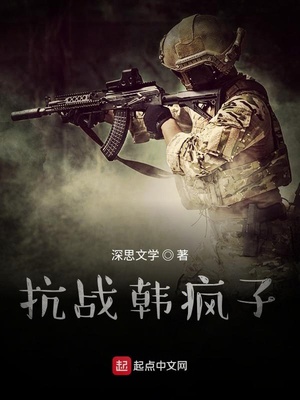 抗战韩疯子百度网盘