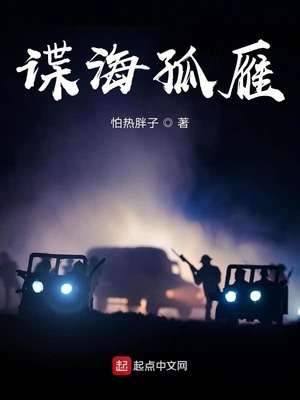 谍海孤雁TXT下载