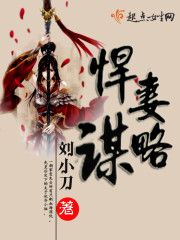 小说悍妻攻略