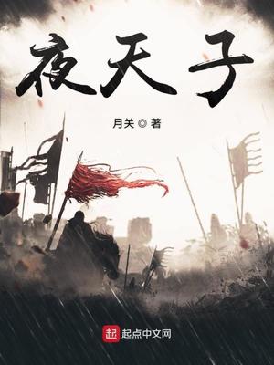 夜天子在线观看免费,电视剧(48集全)