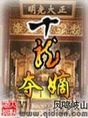 十龙夺嫡精校版