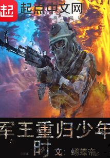 重返少年时小说 归来仍少年