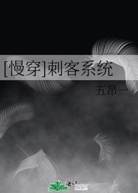 慢穿刺客系统txt百度云