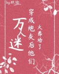 万人迷穿成炮灰后他们火葬场了（快穿）