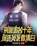 刑警追击电视剧