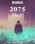 赛博朋克:2075