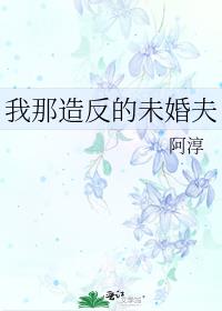 我那造反的未婚夫