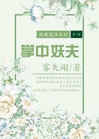 掌中妖夫 小说