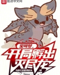 宝可梦,开局孵出灭尽龙