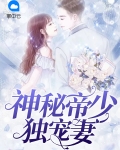 神秘帝少独宠妻