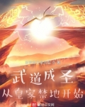 武道成圣:从皇家禁地开始