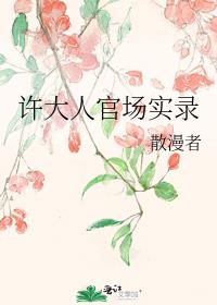 许大人官场实录
