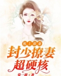 枕上甜妻:封少撩妻超硬核
